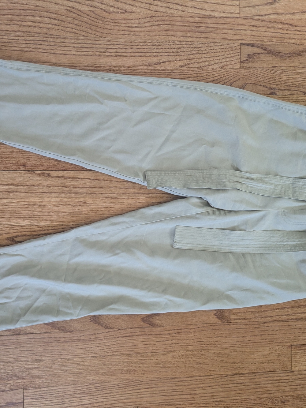 Men's Light Sage Casual Pants